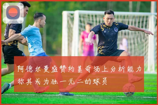 阿德尔曼盛赞约基奇场上分析能力称其或为独一无二的球员