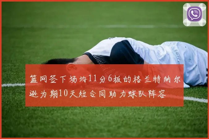 篮网签下场均11分6板的格兰特纳尔逊为期10天短合同助力球队阵容